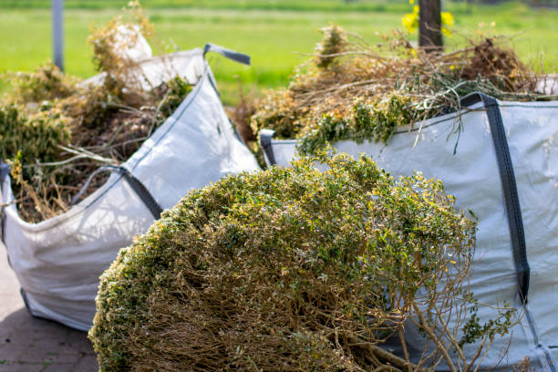 Best Full-Service Junk Removal  in Roseland, OH